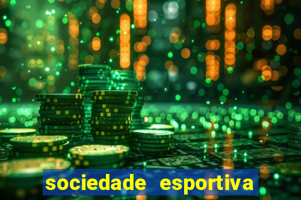 sociedade esportiva palmeiras x botafogo futemax